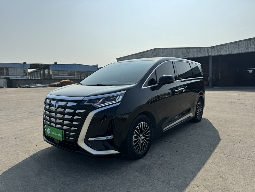 Denza D9 2025 car image 