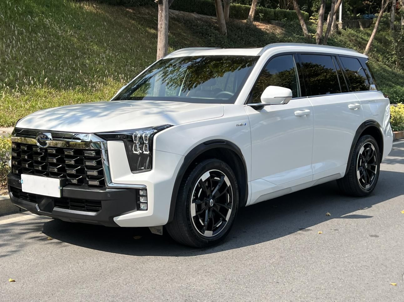 GAC Trumpchi ES9 2023 GAC Trumpchi ES9 2023 car image