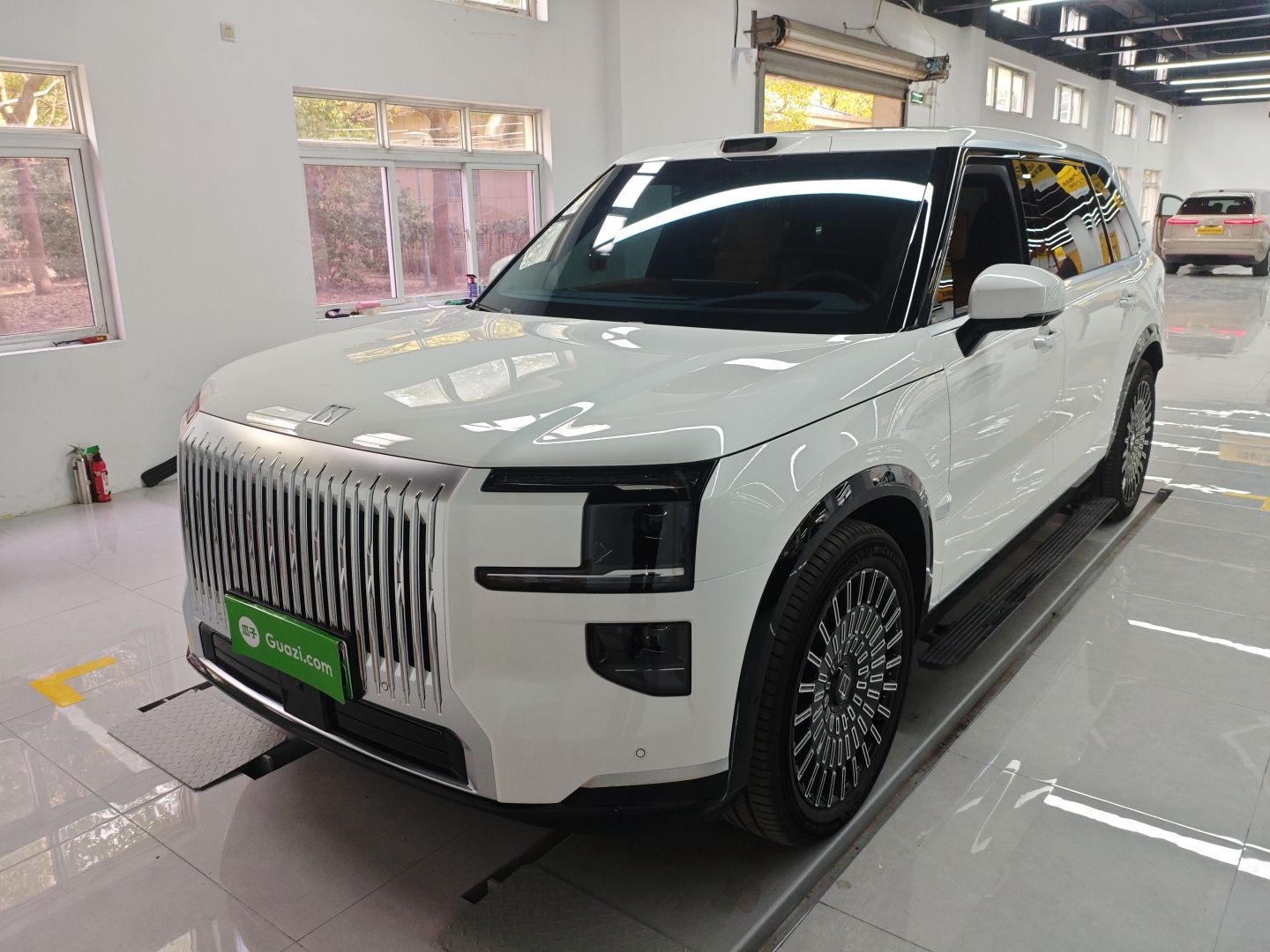 极氪 极氪9X 2025 汽车图片 