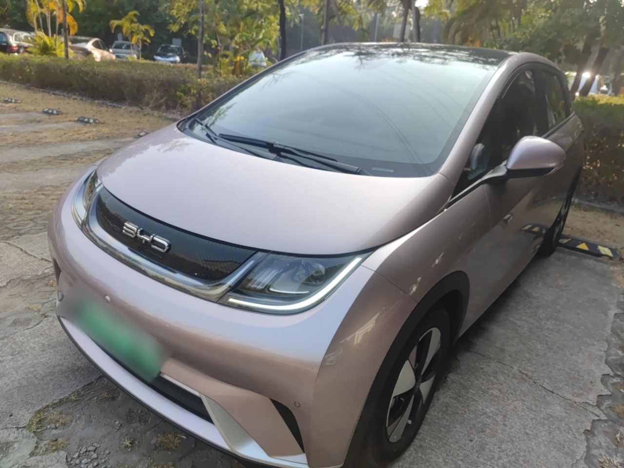 BYD Dolphin 2023 car image 