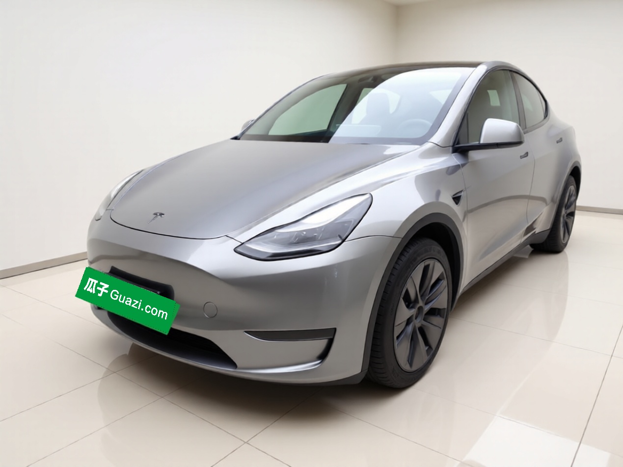Tesla Model Y 2024 car image 