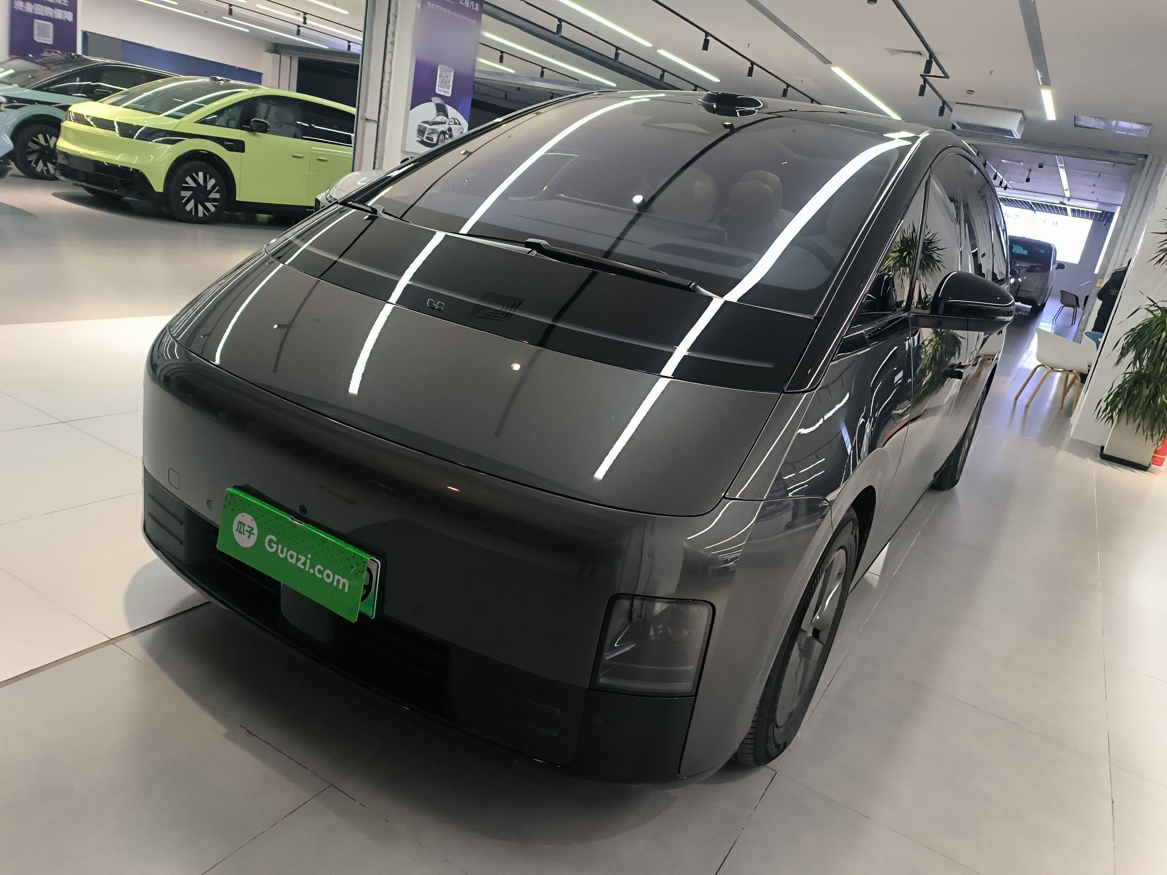 Li Mega 2025 汽车图片 