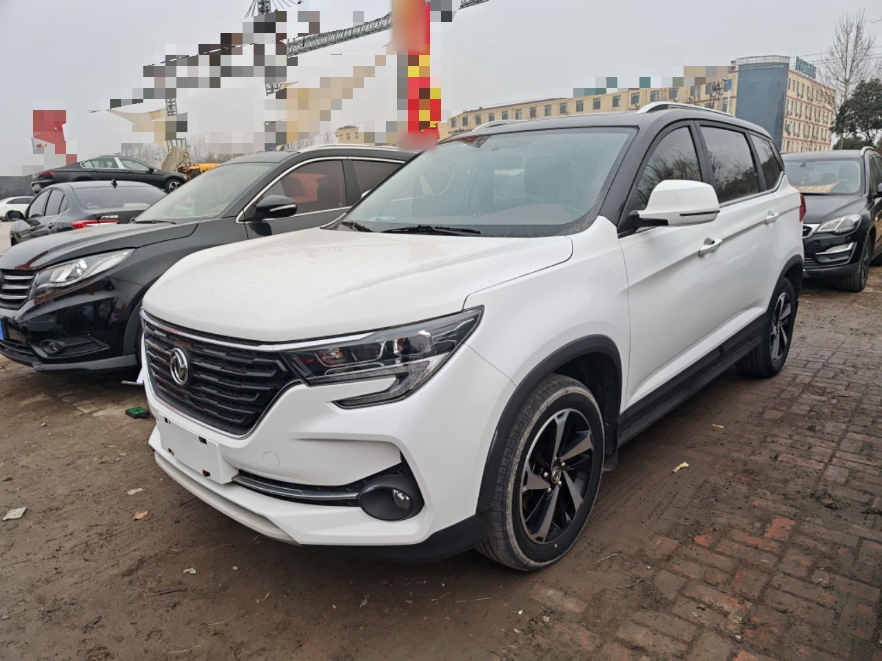 T5 2019 T5 2019 immagine di auto