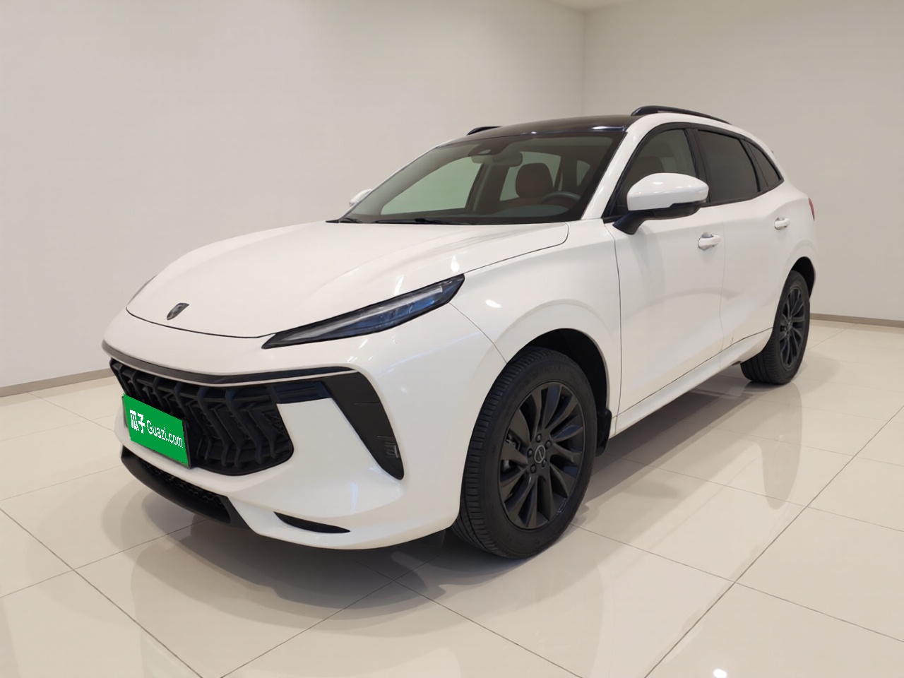 Forthing T5 EVO 2021 car image 