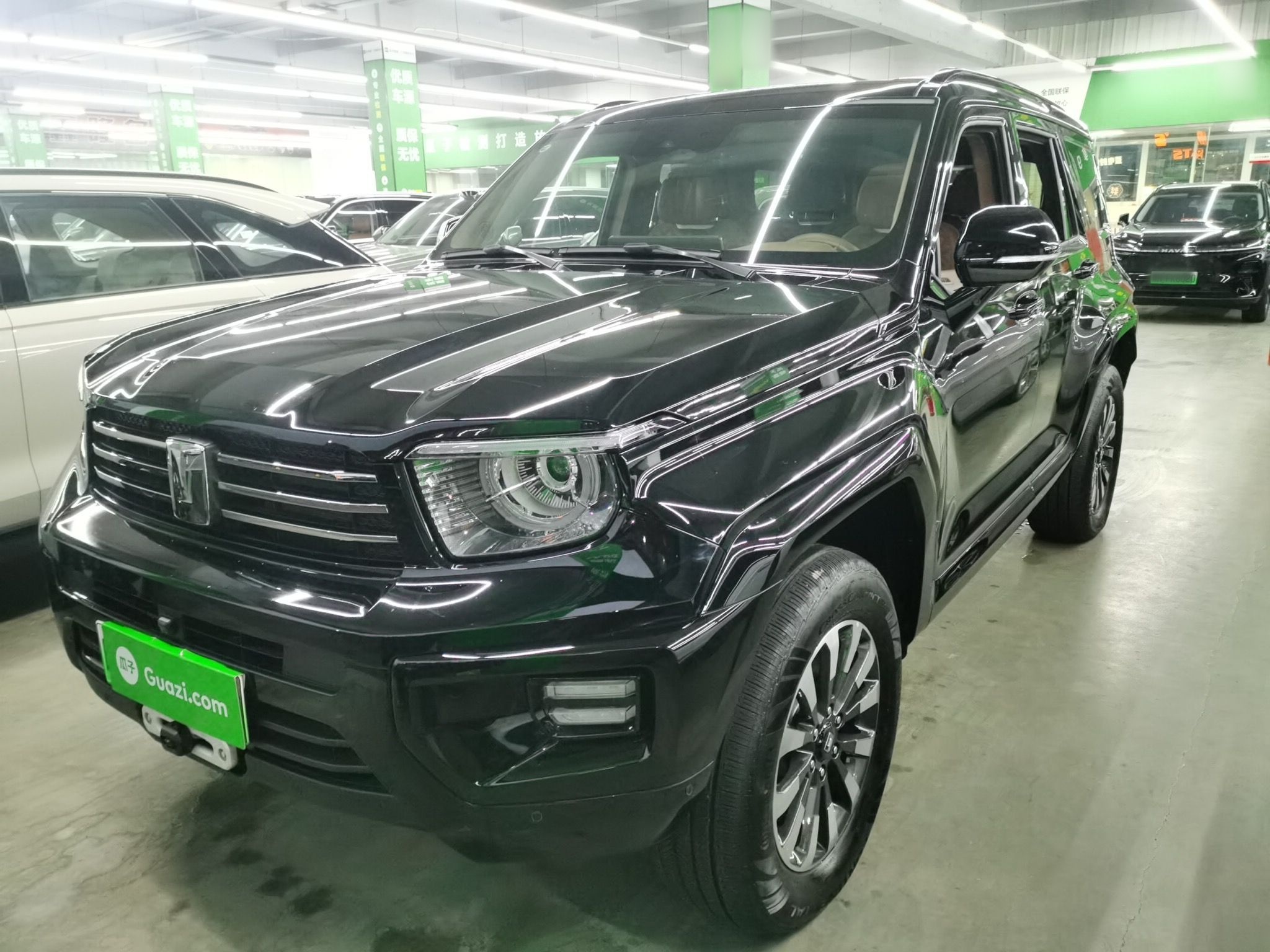 Tank 700 New Energy 2024 Tank 700 New Energy 2024 汽车图片