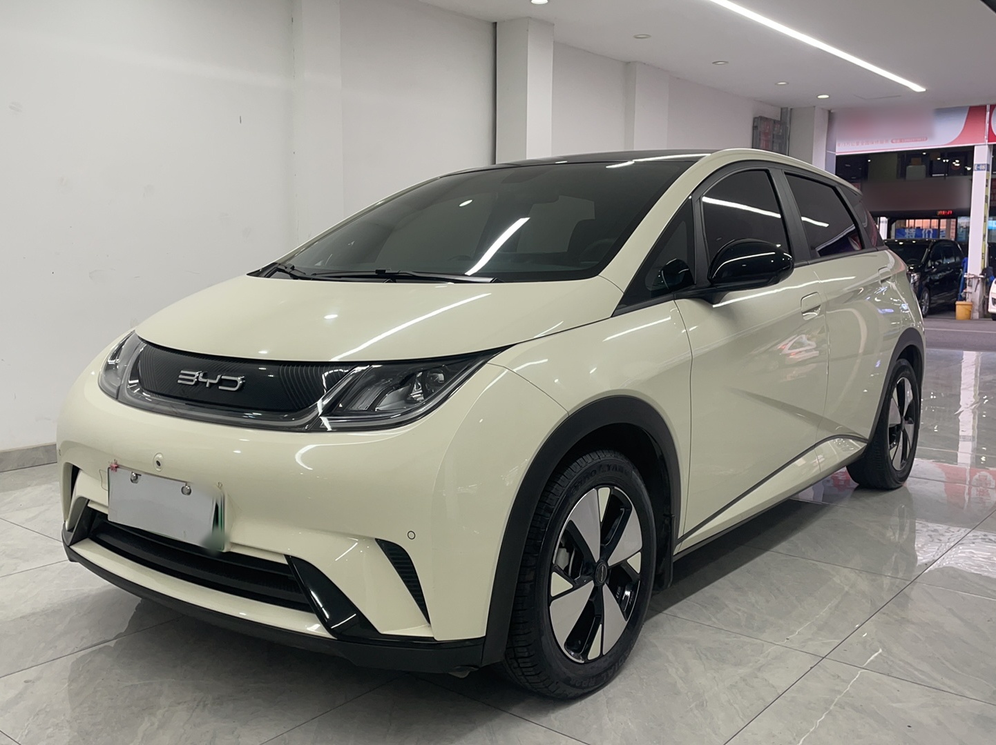 BYD Dolphin 2023 car image 