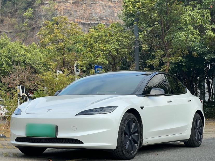 Tesla Model 3 2024 Tesla Model 3 2024 car image