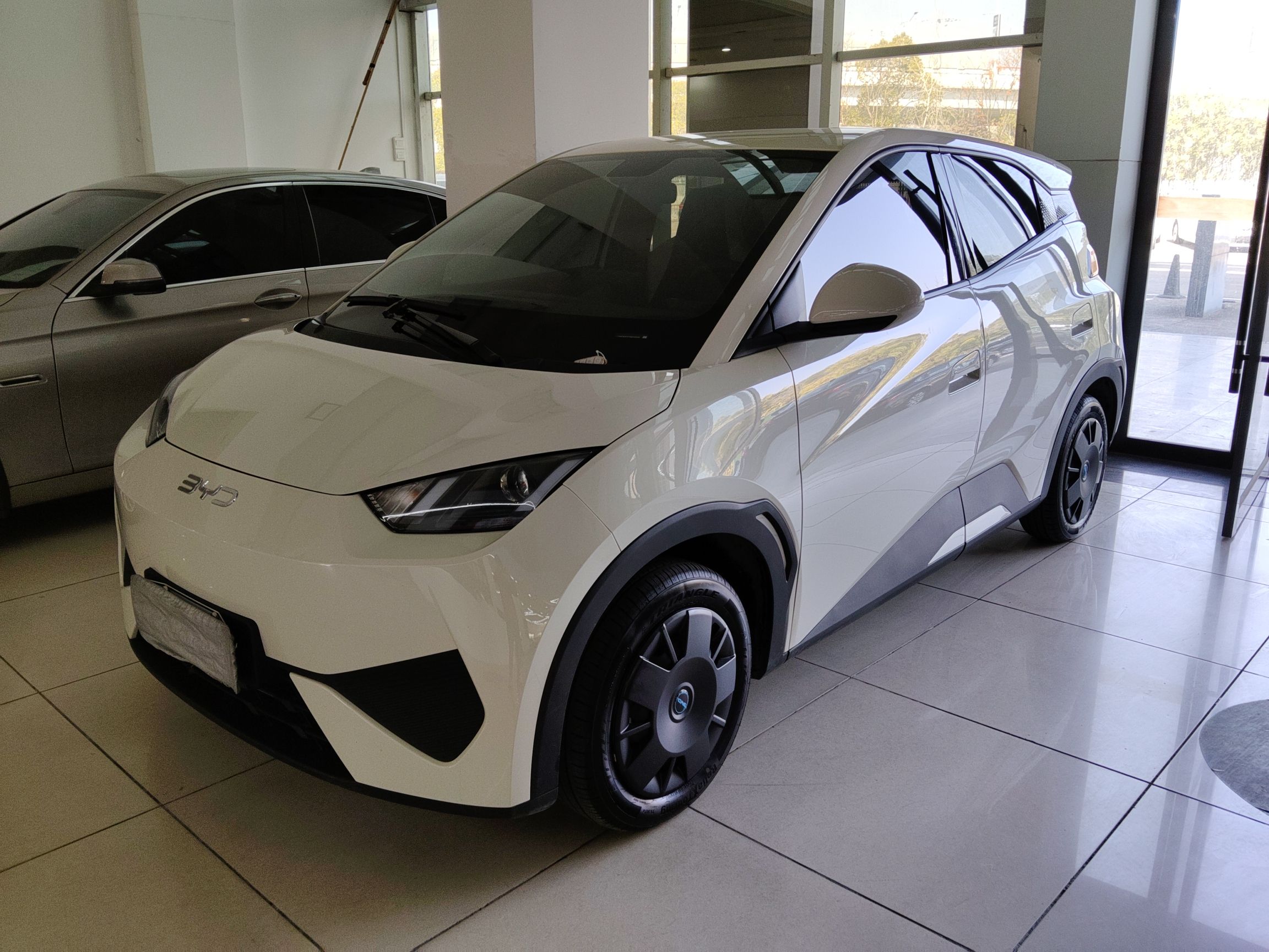 BYD Seagull 2025 car image 