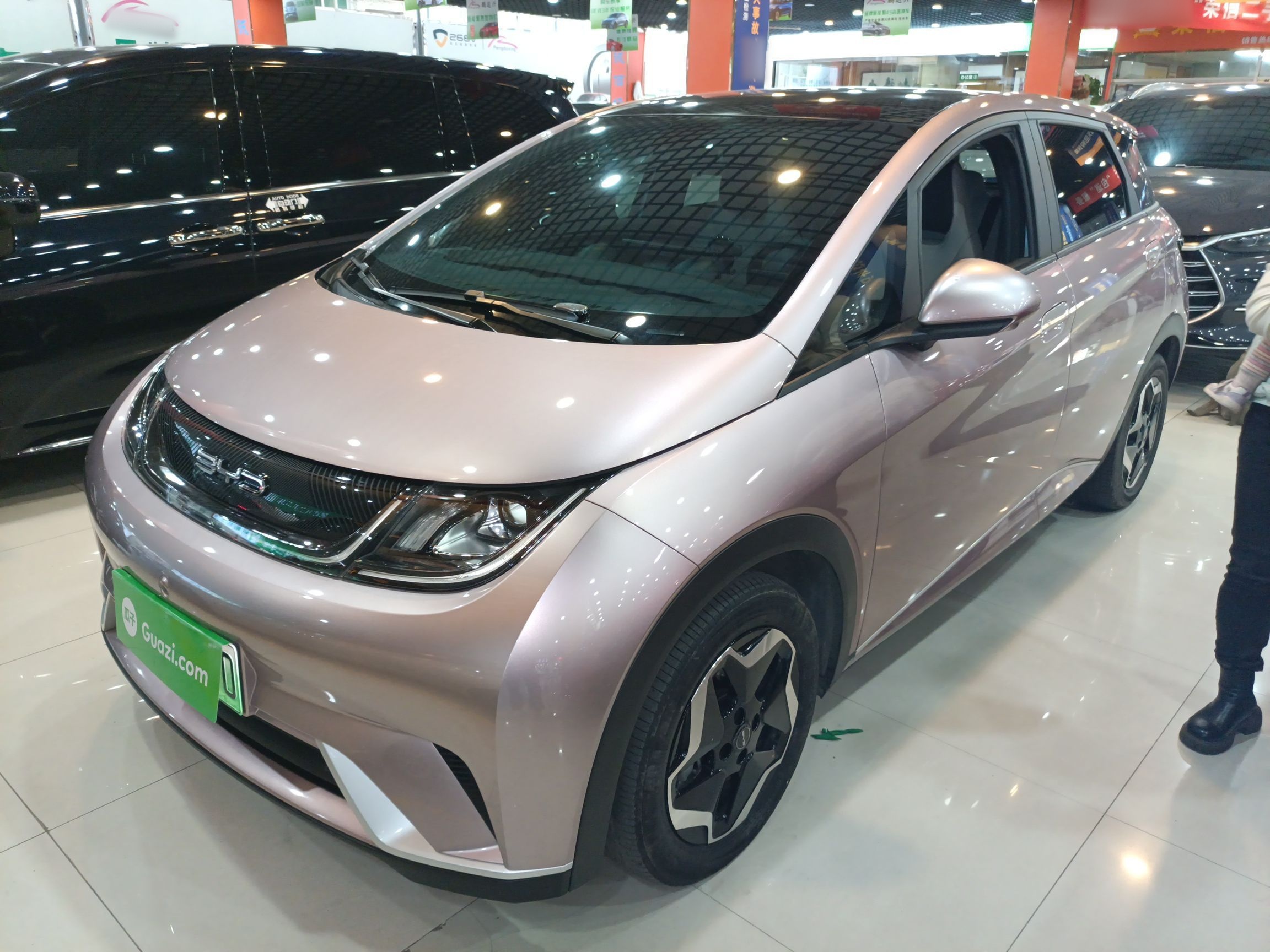 BYD Dolphin 2022 BYD Dolphin 2022 car image