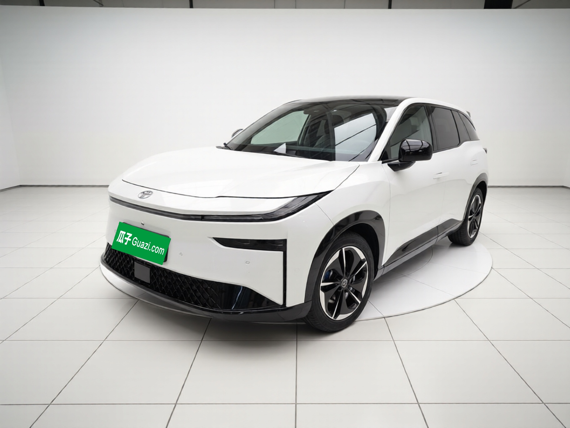 Toyota Bozhi 3X 2025 汽车图片 