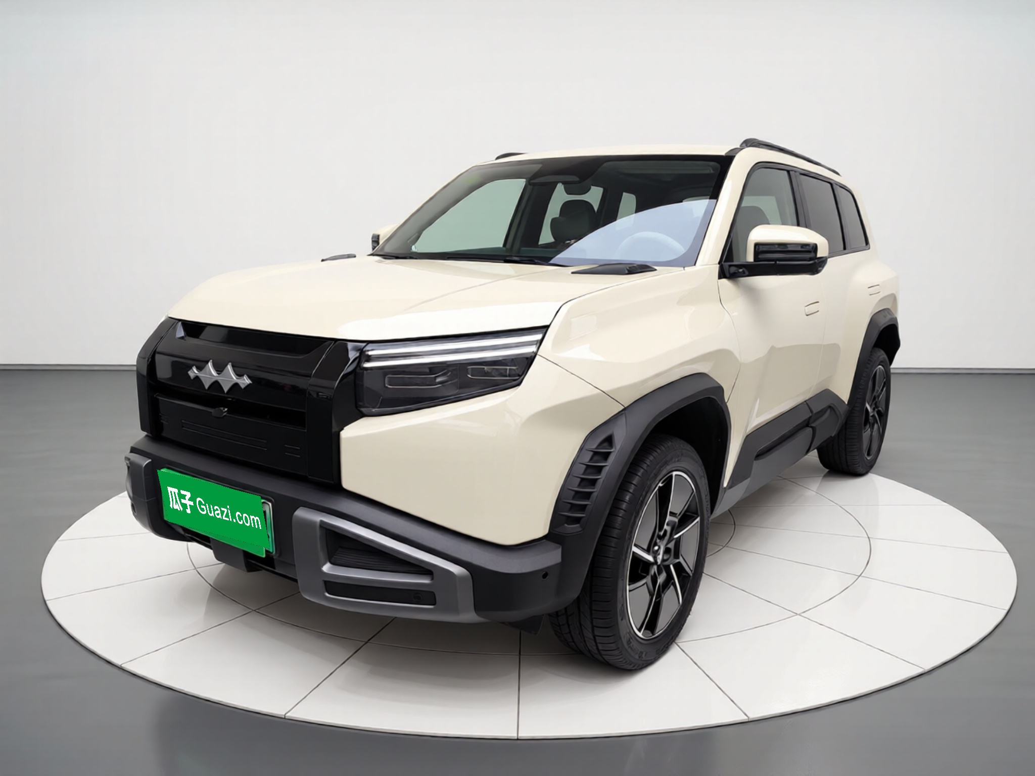 FangChengBao Tiger 3 2025 car image 