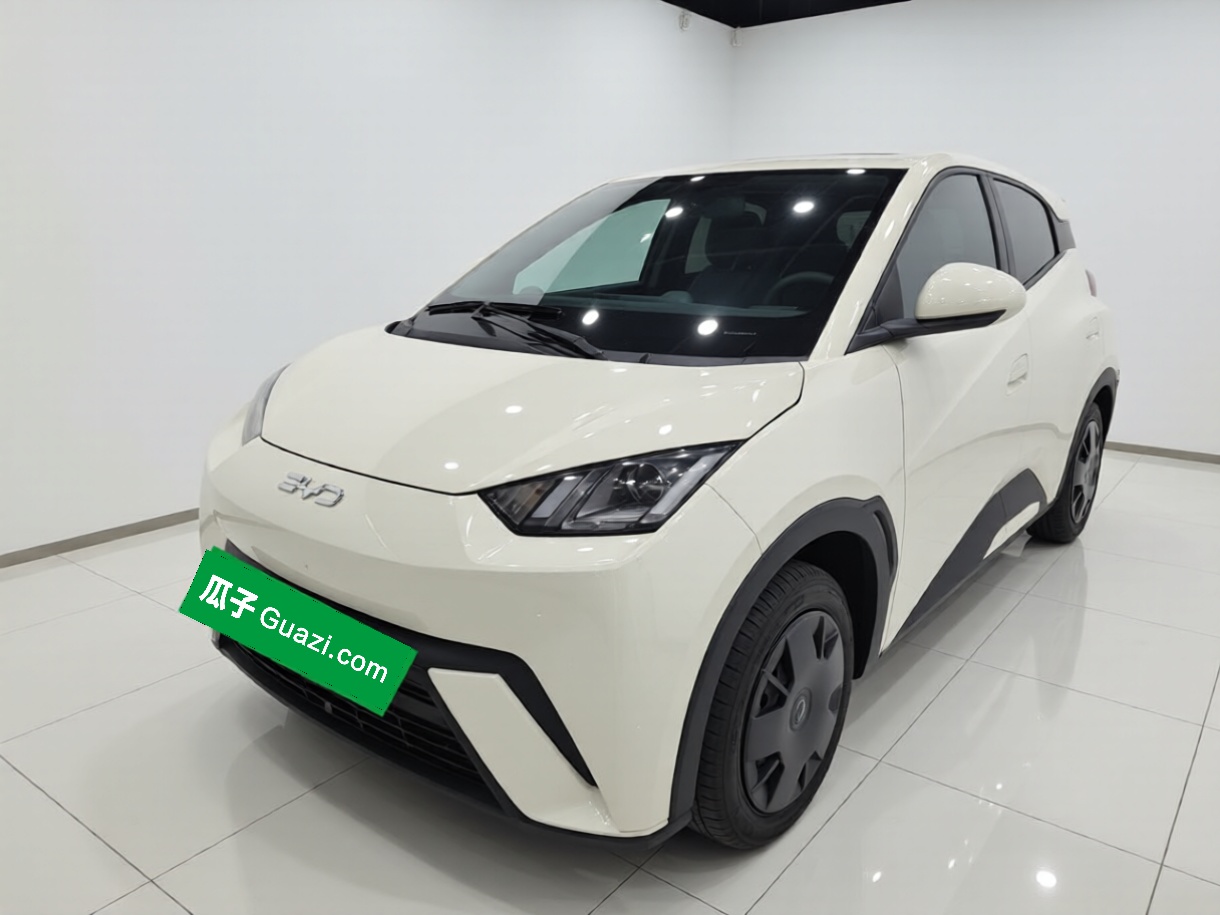 BYD Seagull 2024 car image 