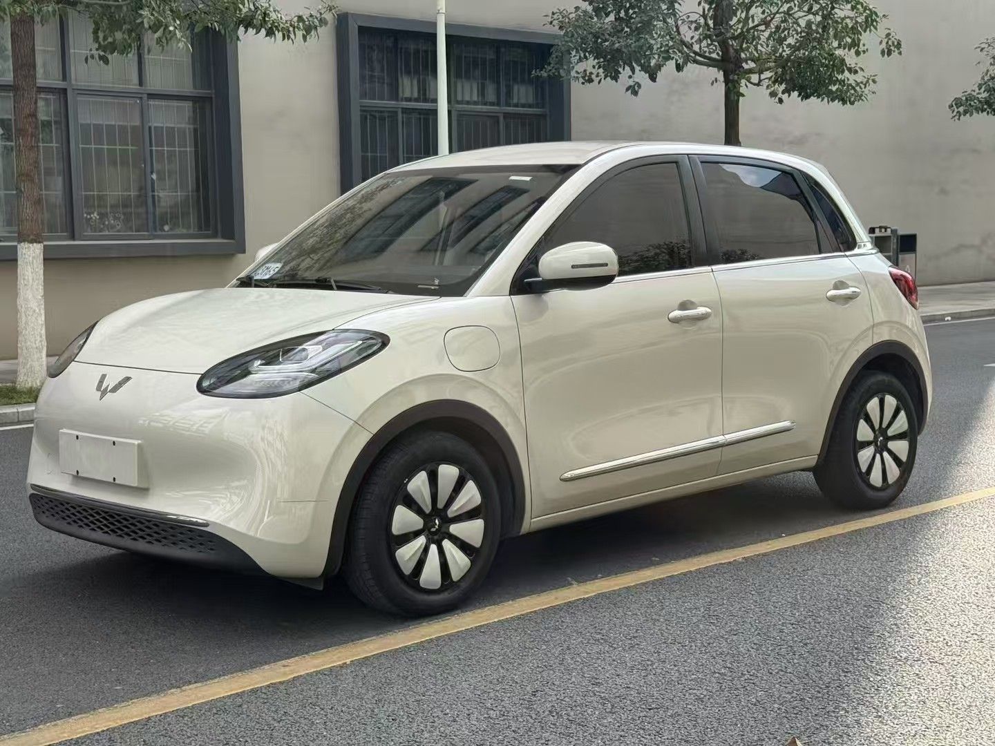 Wuling Binguo 2023 汽车图片 