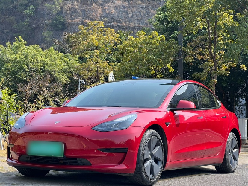 Tesla Model 3 2022 汽车图片 
