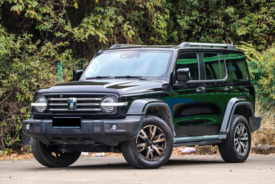 Tank 300 2023 汽车图片 