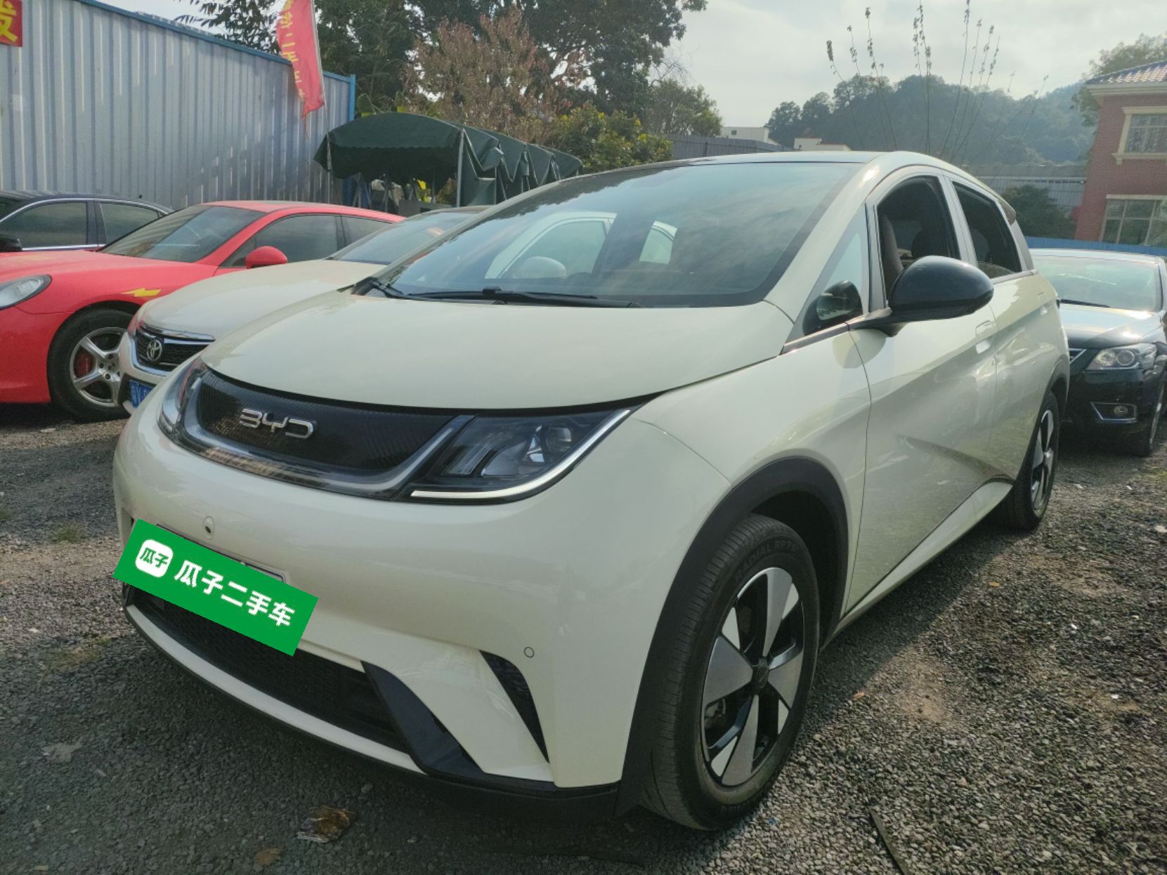 BYD Dolphin 2024 car image 