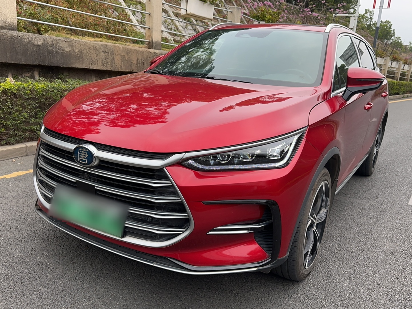 BYD Tang New Energy 2022 car image 