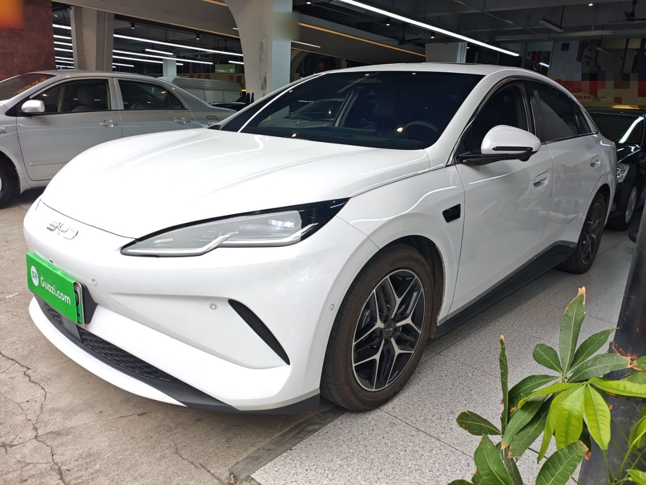 BYD Seal 06 New Energy 2025 car image 