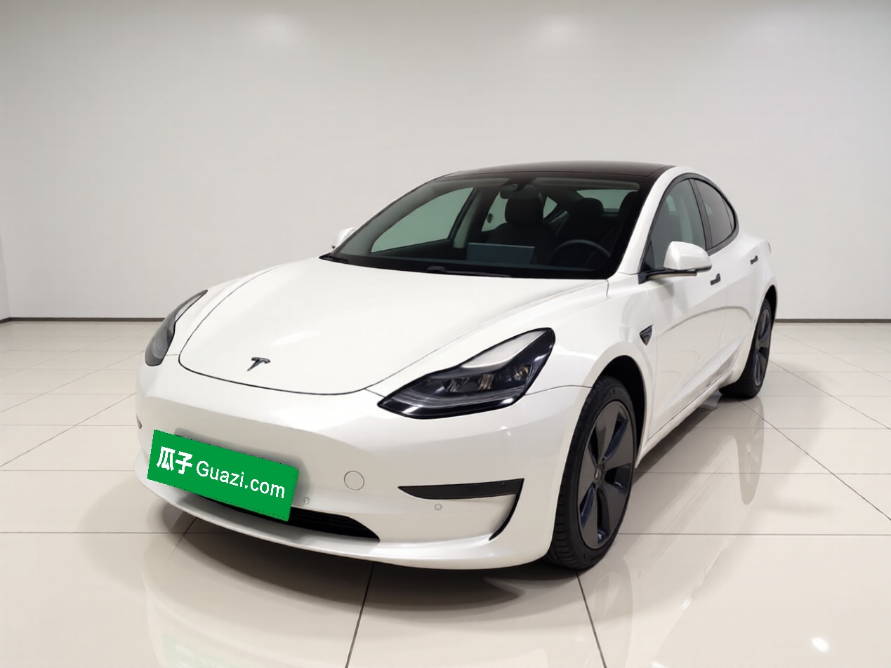 Tesla Model 3 2021 Tesla Model 3 2021 car image