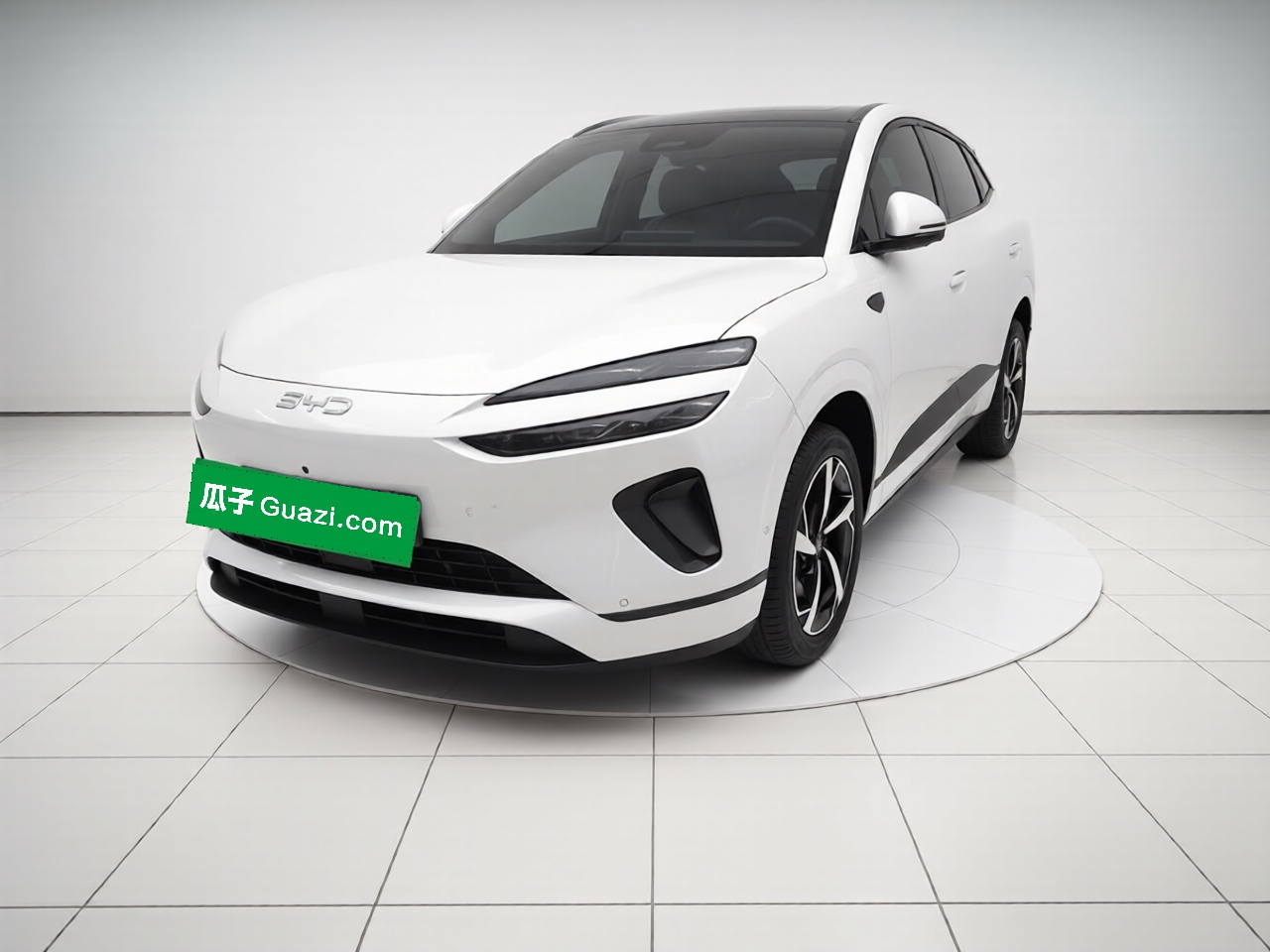 BYD Sea Lion 06 New Energy 2025 car image 