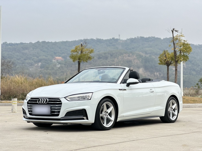 Audi A5 (Imported) 2018 car image 