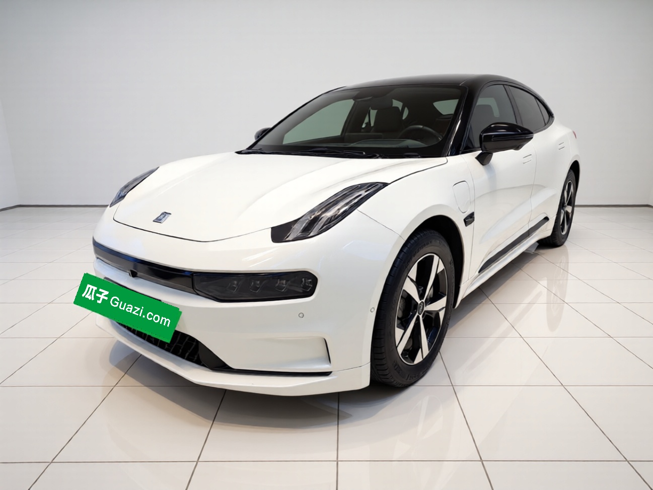 Zeekr 001 2023 汽车图片 