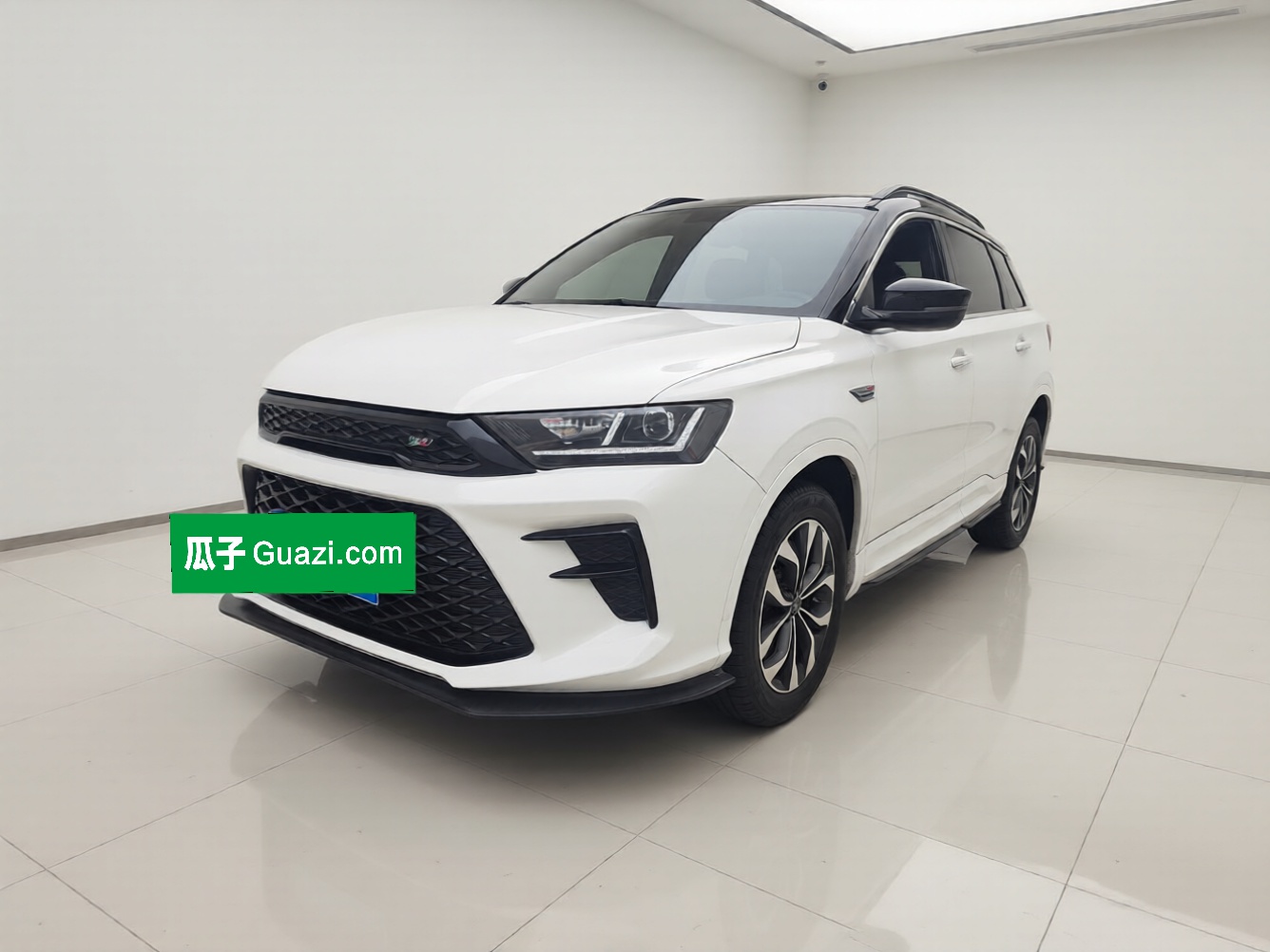 SWM G01 2020 汽车图片 