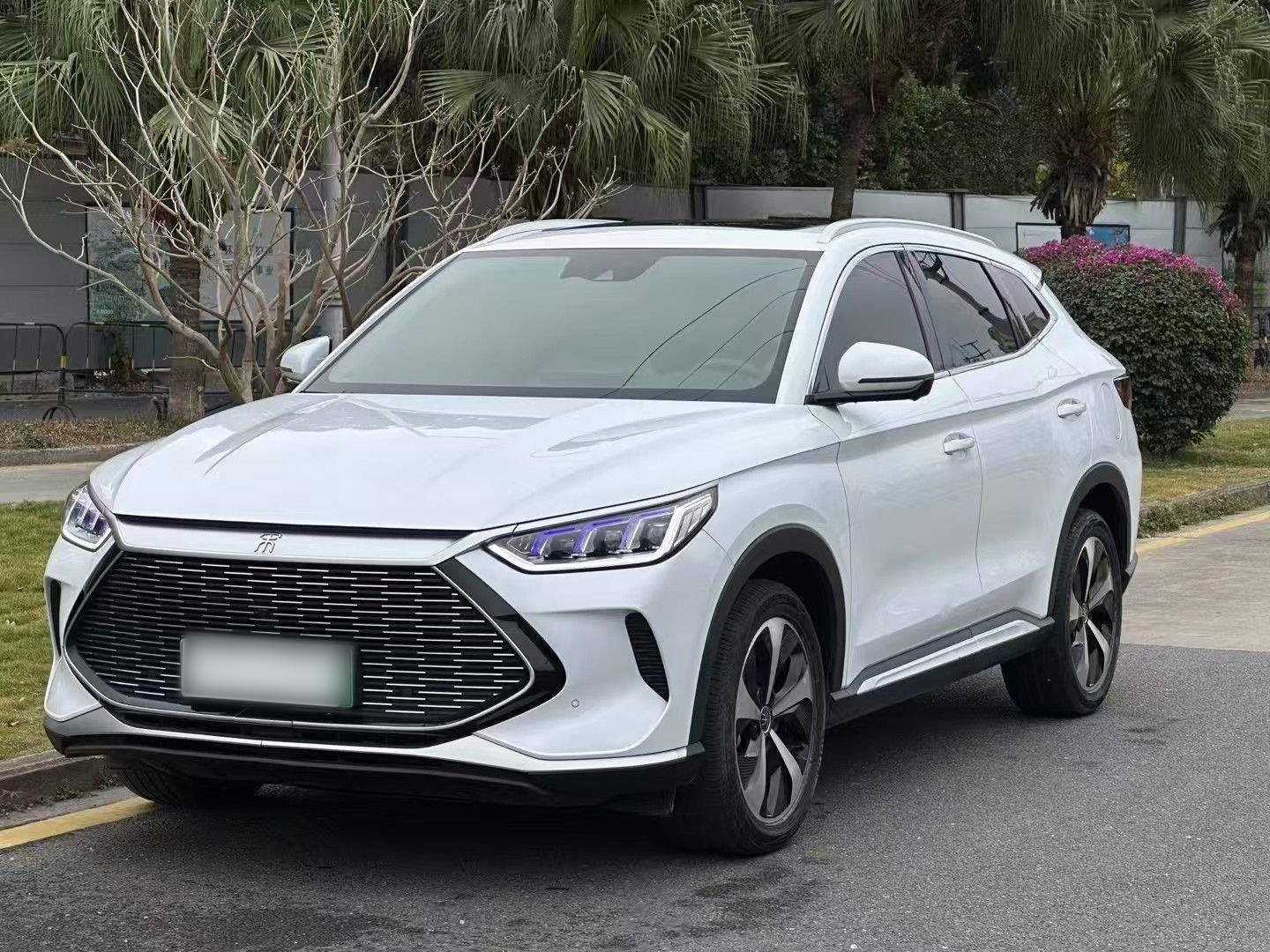 BYD Song Plus New Energy 2022 car image 