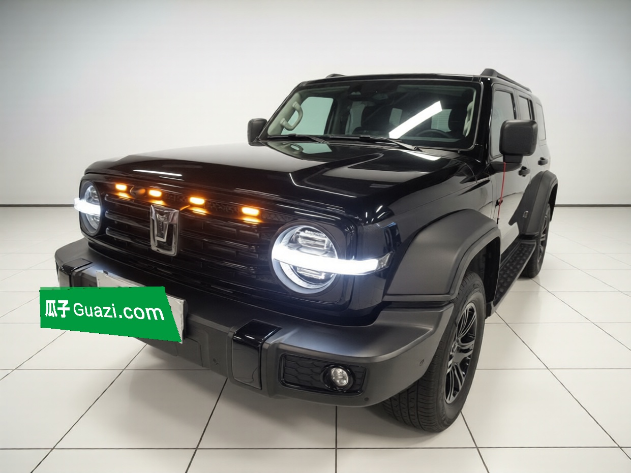 Tank 300 2025 汽车图片 