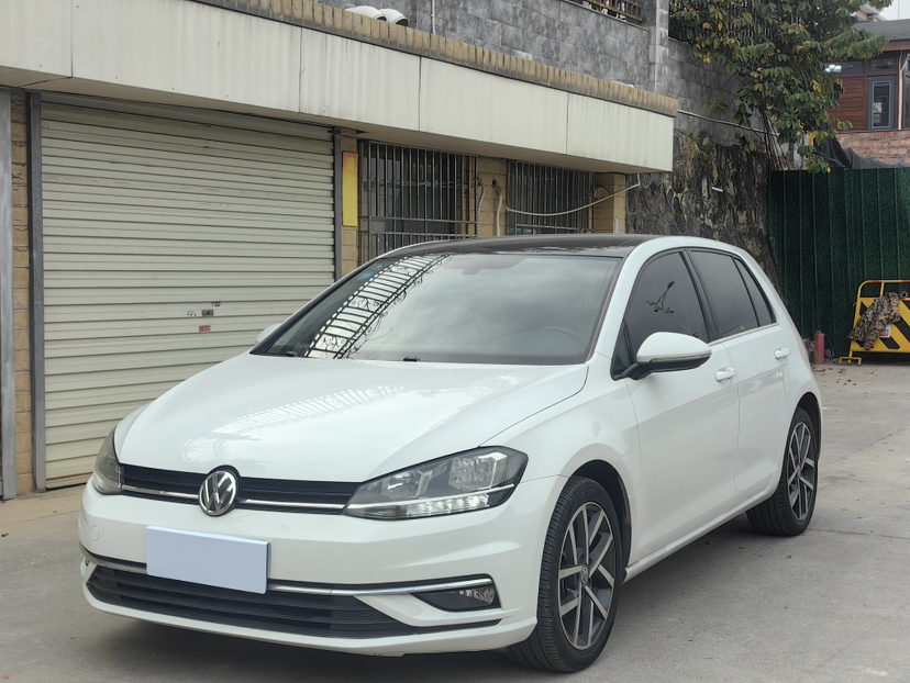 Volkswagen Golf 2020 汽车图片 