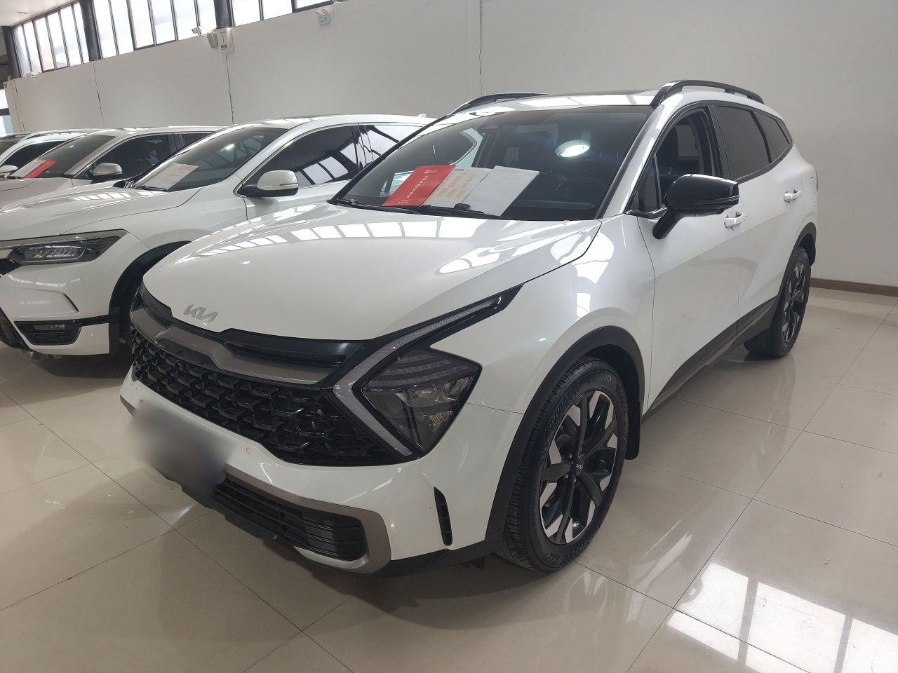 Kia Sportage 2023 car image 