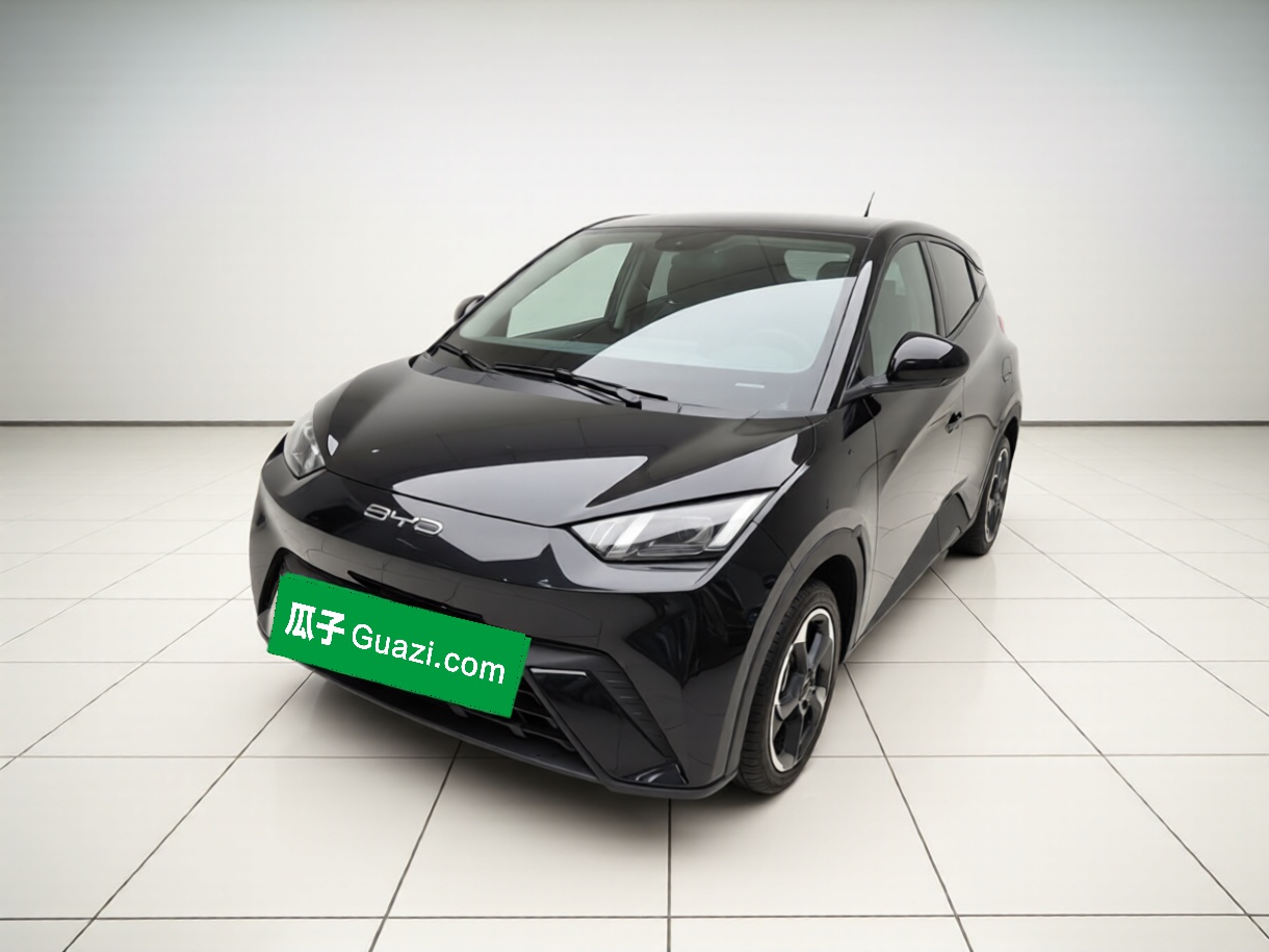 BYD Seagull 2023 BYD Seagull 2023 car image