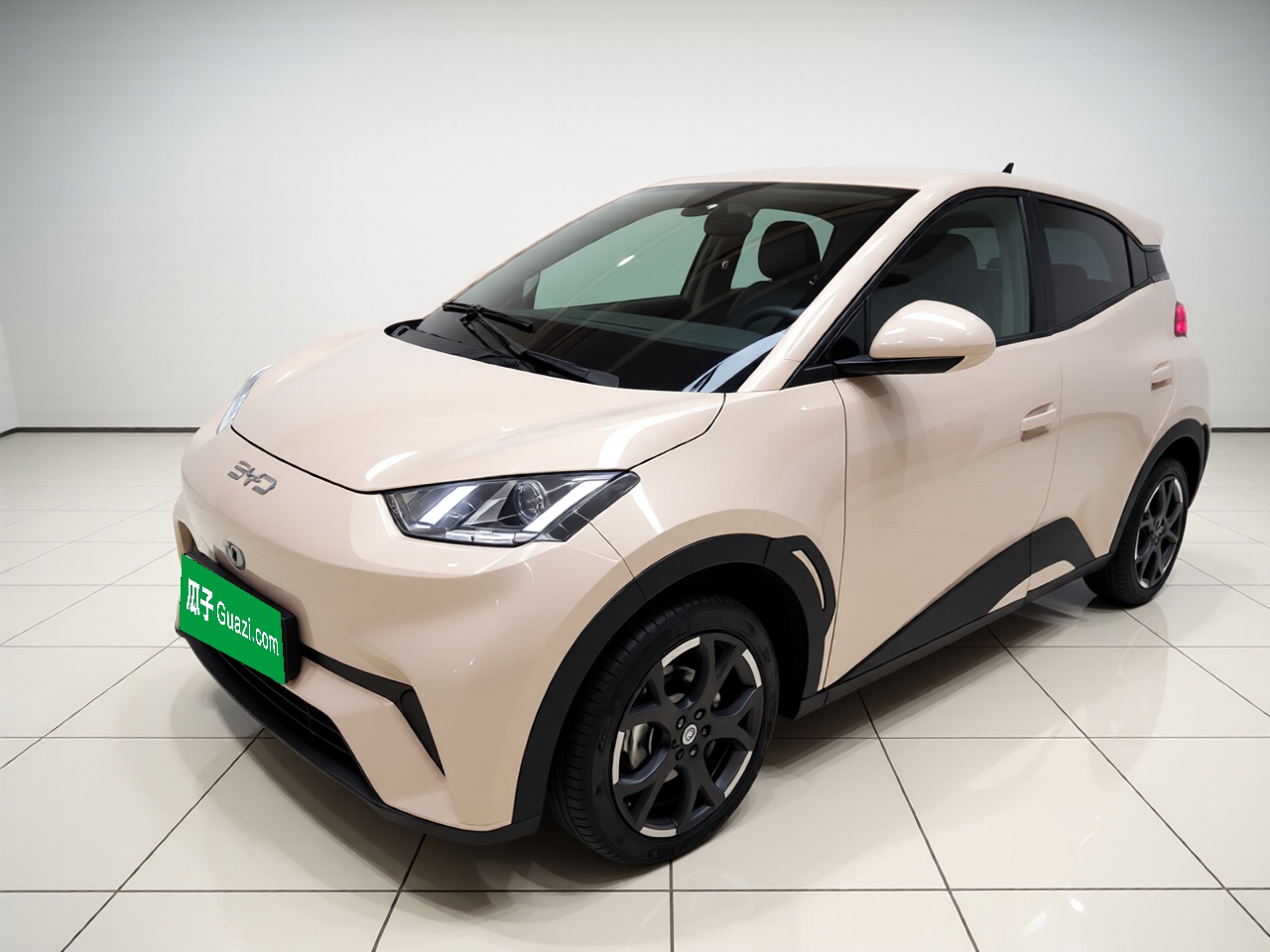 BYD Seagull 2024 car image 