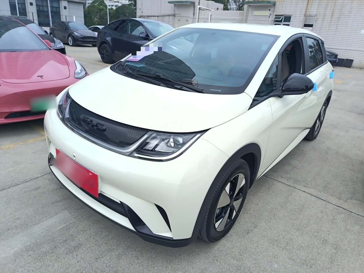 BYD Dolphin 2024 car image 