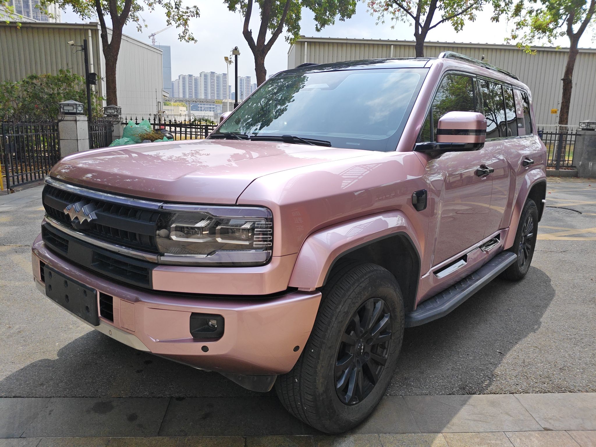 FangChengBao Leopard 5 2025 汽车图片 