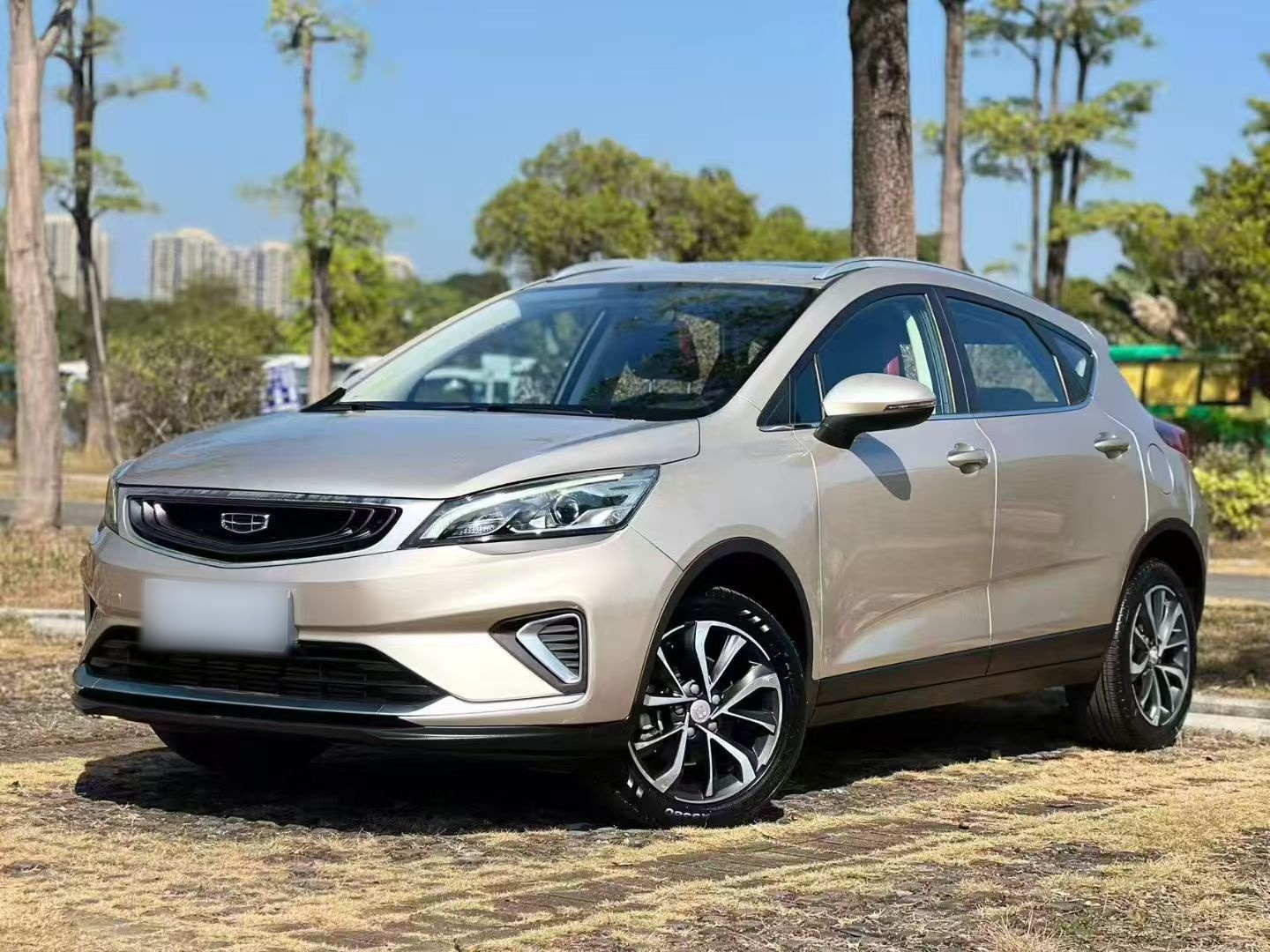 Emgrand GS 2021 car image 
