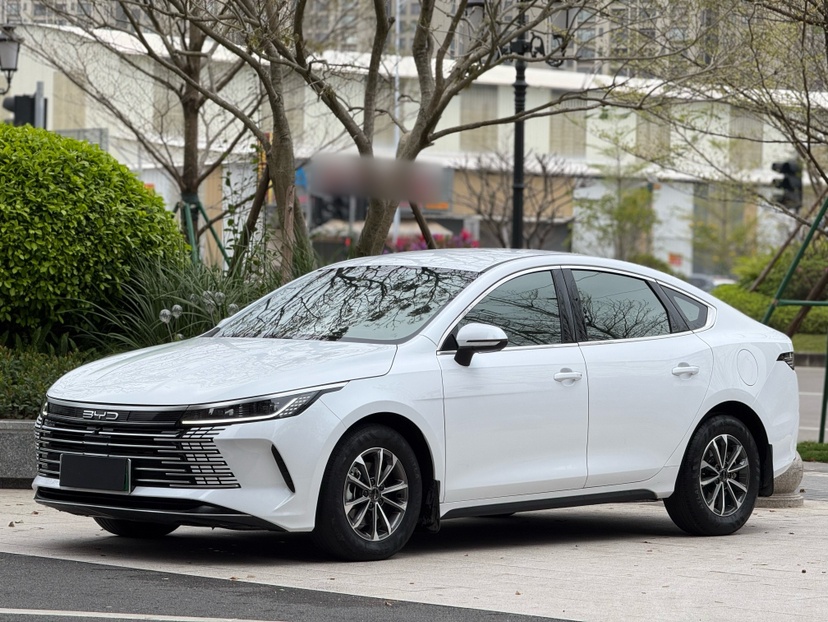 BYD Destroyer 05 2024 صورة سيارة 