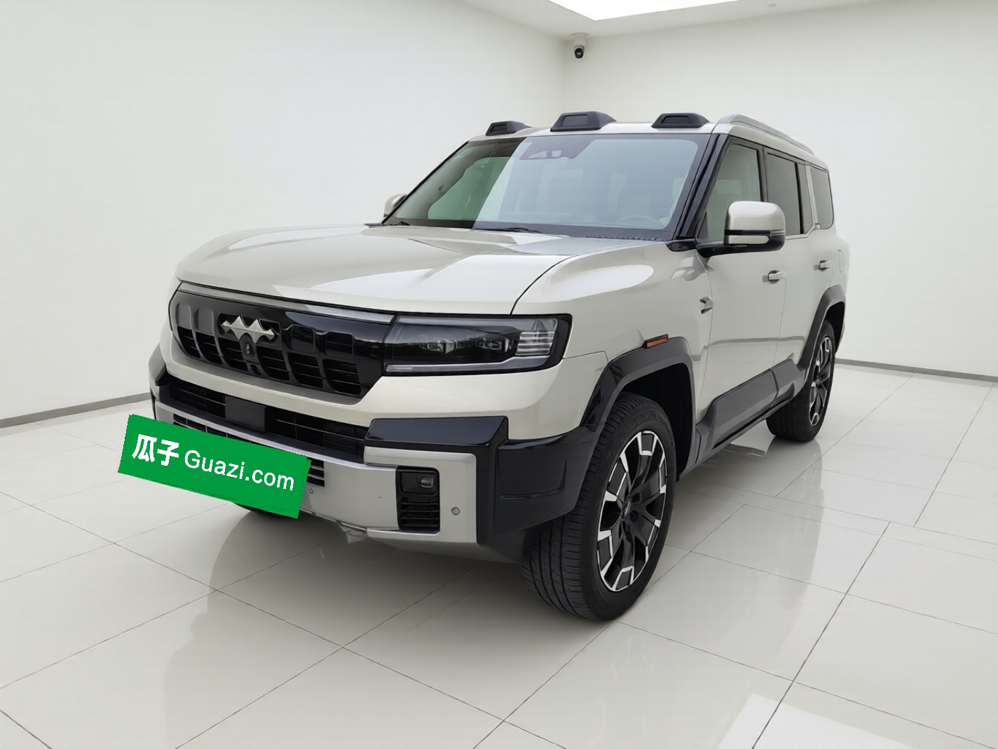 FangChengBao Leopard 8 2024 immagine di auto 