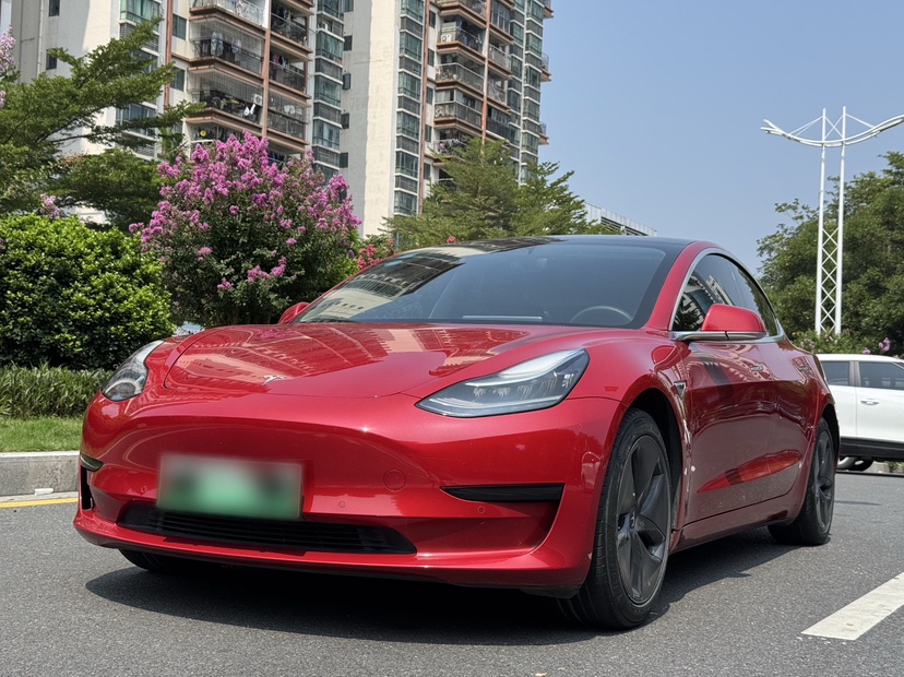 Tesla Model 3 2020 汽车图片 