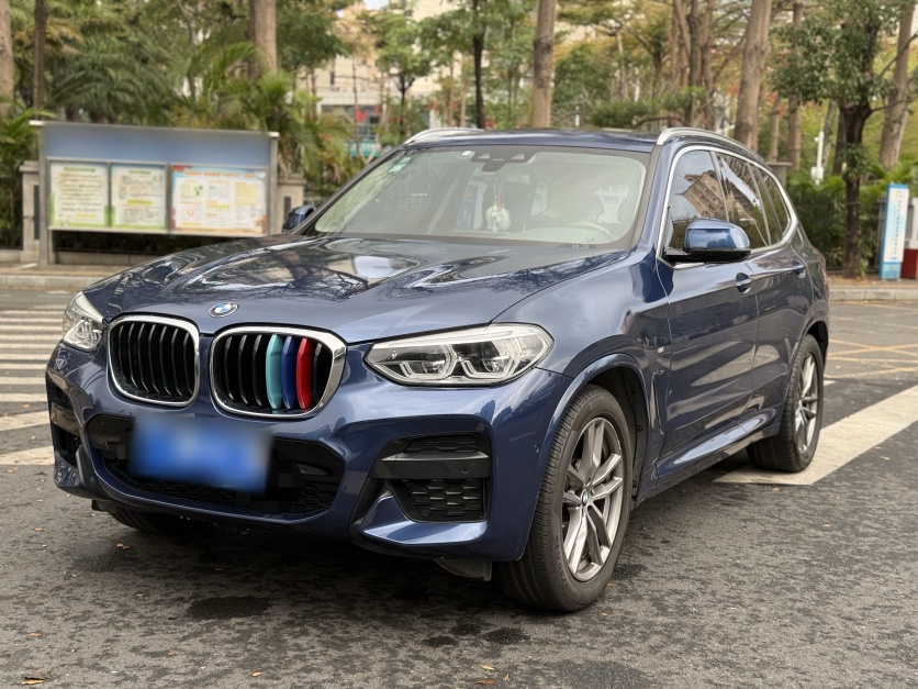 BMW X3 2019 immagine di auto 