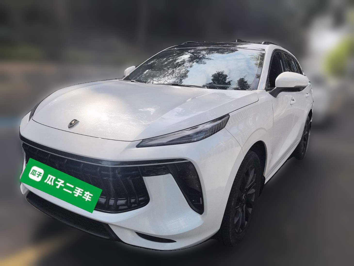 T5 EVO 2021 car image 
