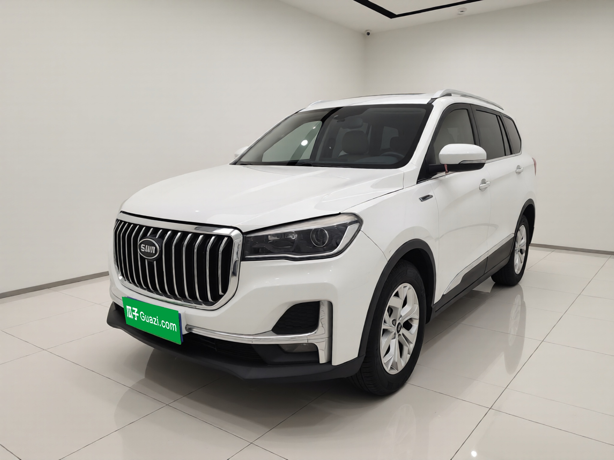 SWM G05 2019 汽车图片 