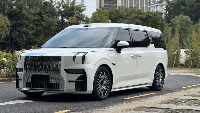 Zeekr 009 2024 汽车图片 