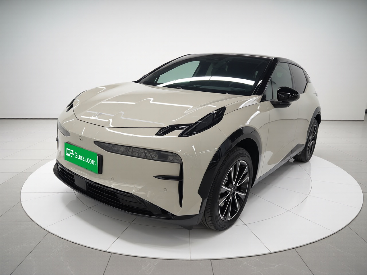 Zeekr X 2024 汽车图片 