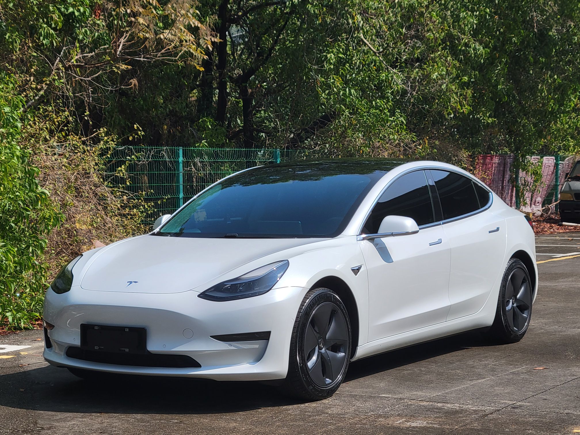 Tesla Model 3 2021 汽车图片 