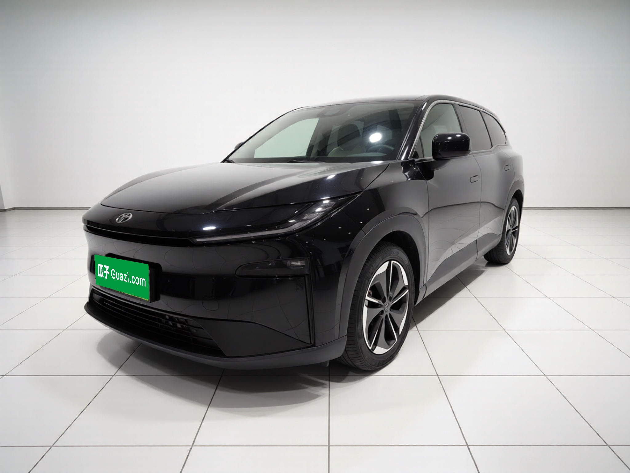 Toyota Bozhi 3X 2025 汽车图片 