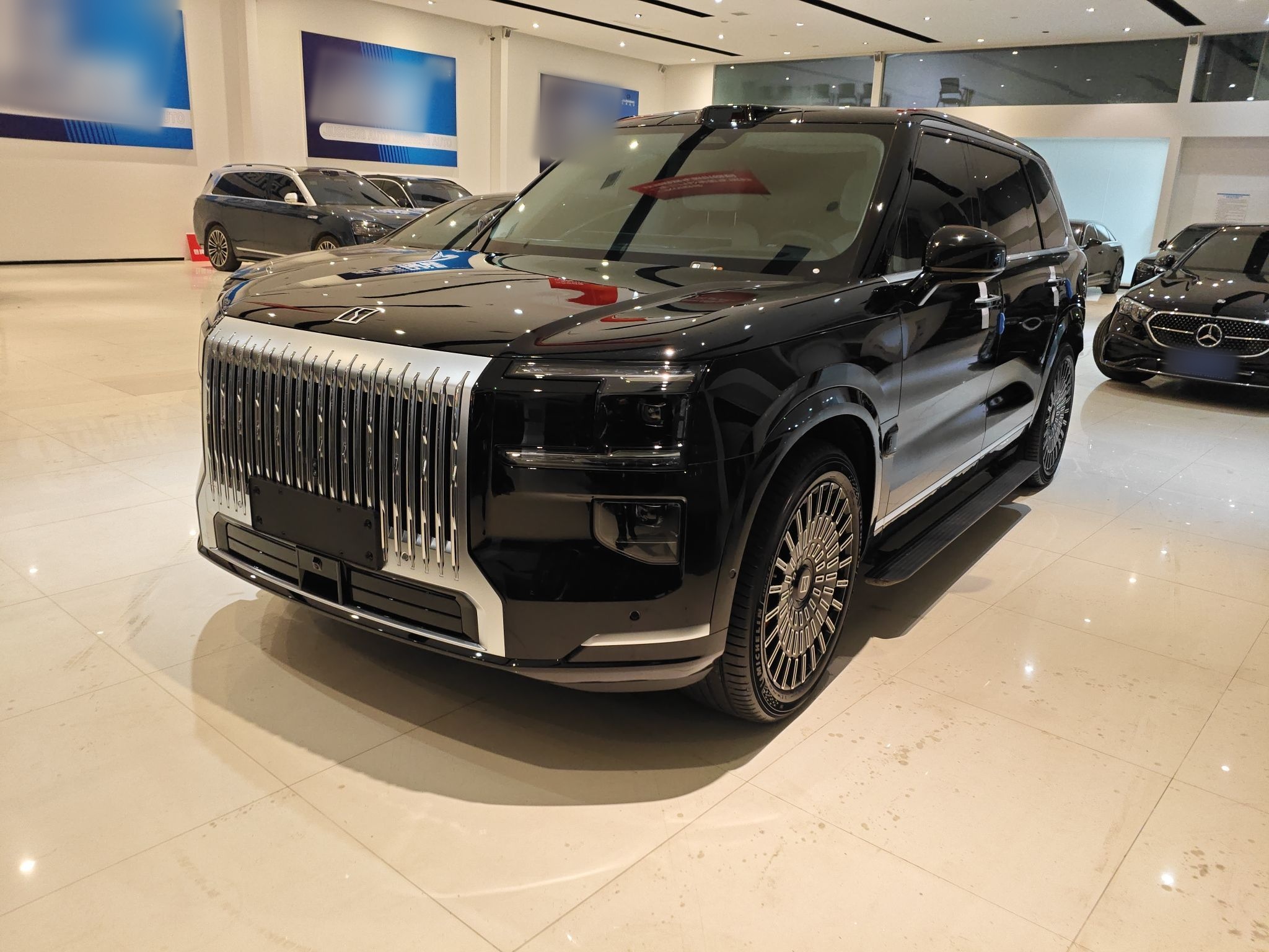 Zeekr 9X 汽车图片 