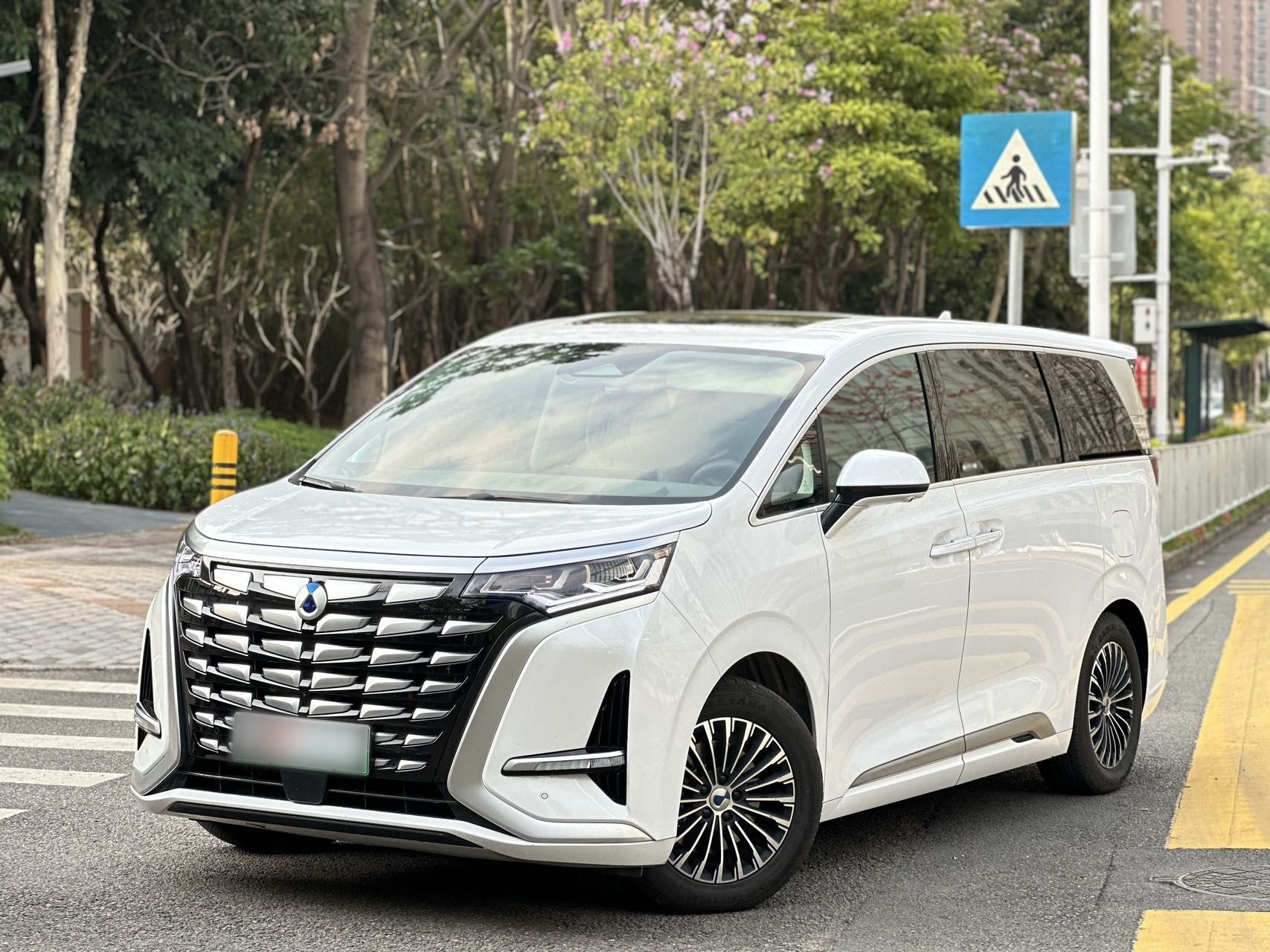 Denza D9 2023 immagine di auto 