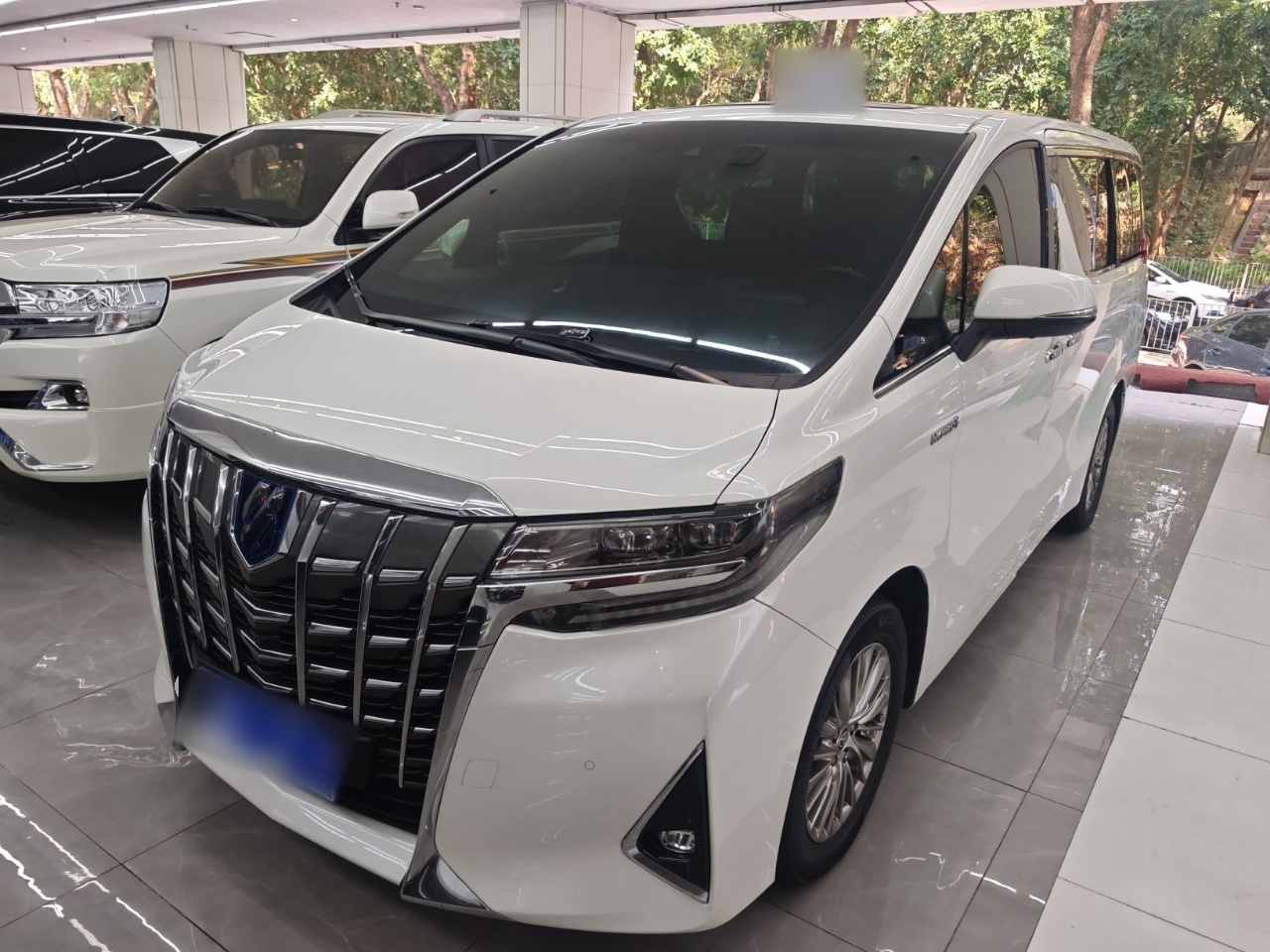 Toyota Alphard 2022 汽车图片 