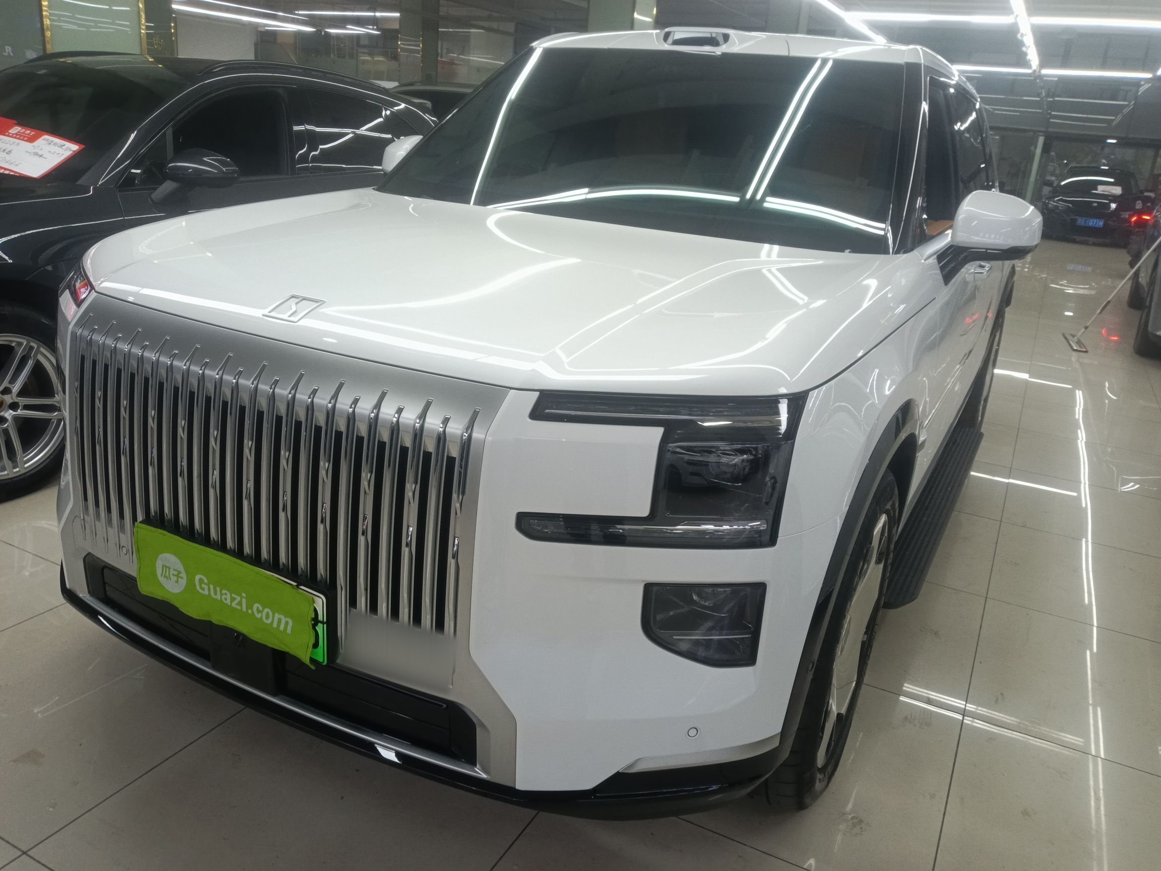 Zeekr 9X 2025 汽车图片 